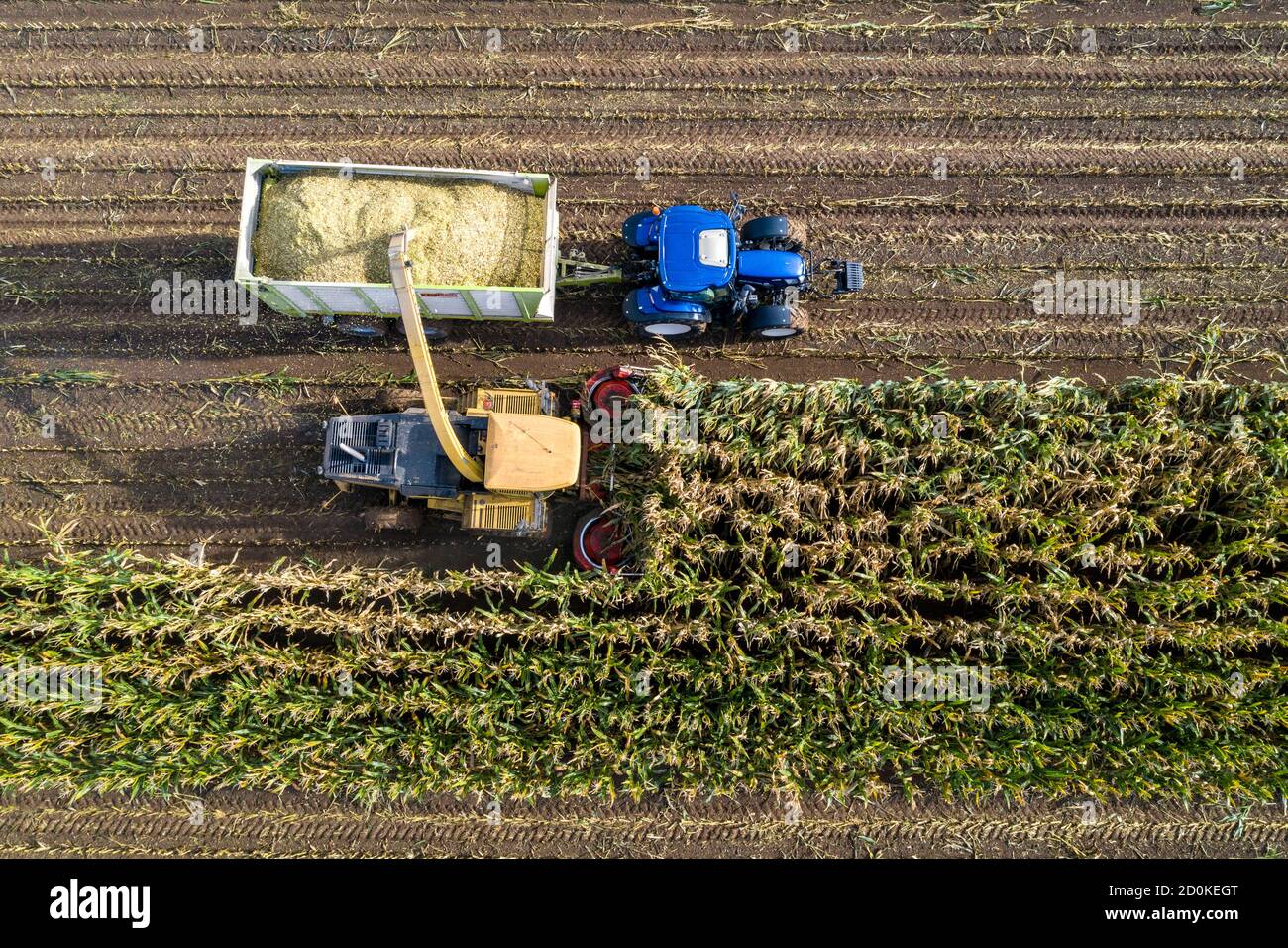 Silage Harvester High Resolution Stock Photography And Images Alamy