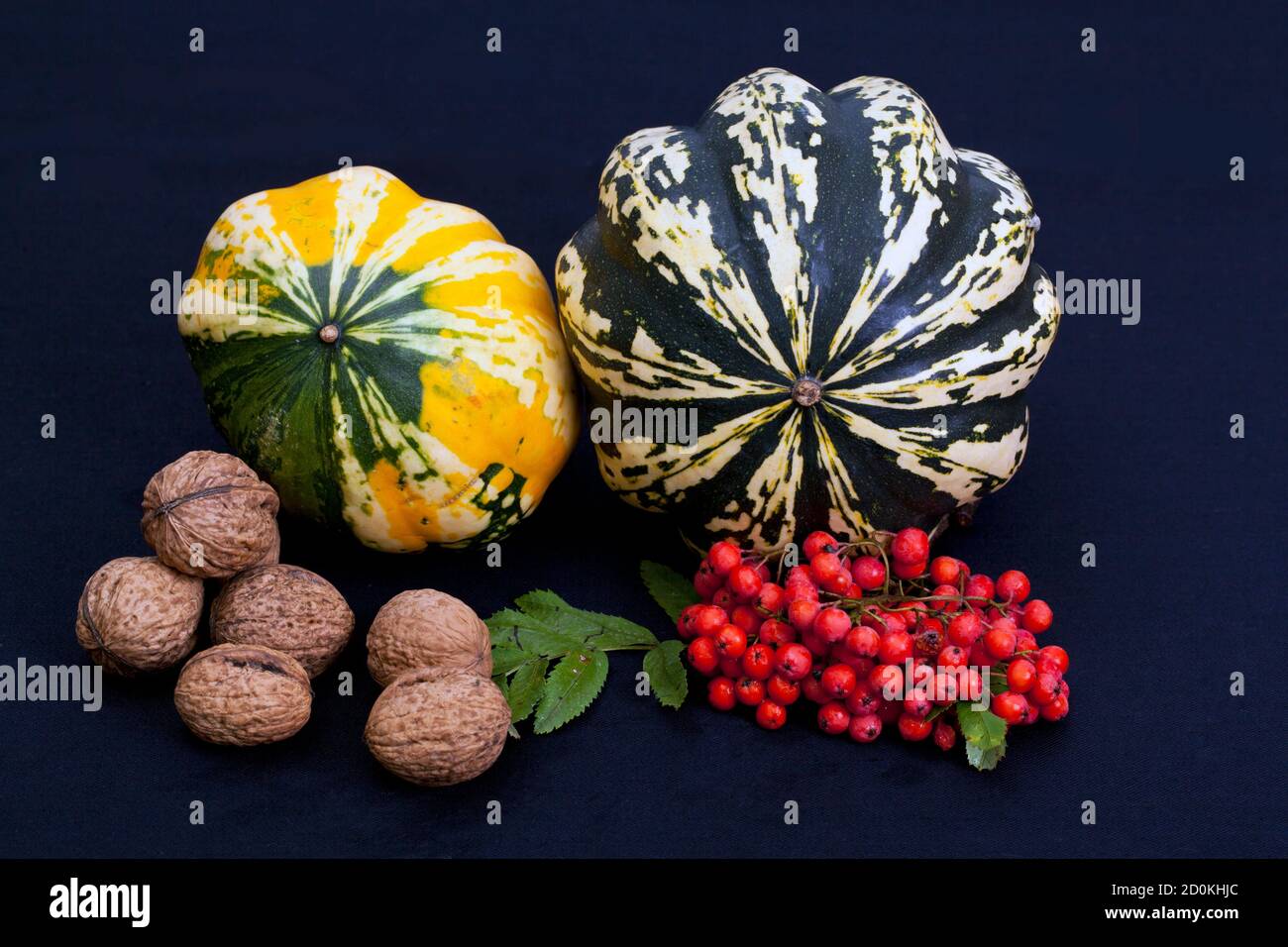 Still-life with decoration pumpkins and fruits Stock Photo - Alamy