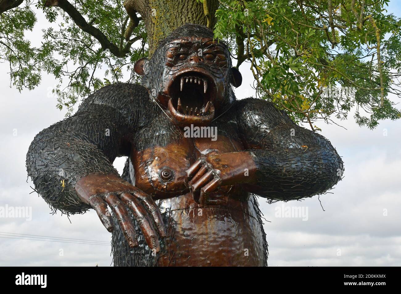 Gorilla Sculpture at the British Ironwork Centre and Shropshire ...