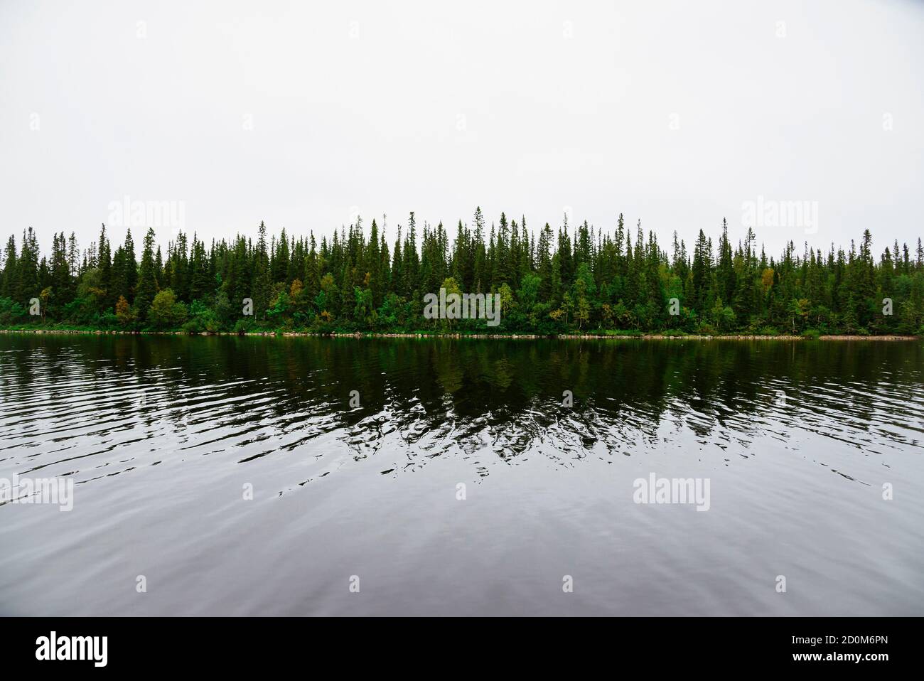 Landscape with a lake Lovozero and tundra forest (Kola Peninsula, North of Russia) Stock Photo