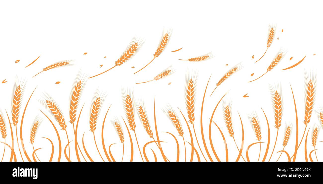 Vector silhouette of wheat. Silhouette. Wheat in the field on a white background Stock Vector