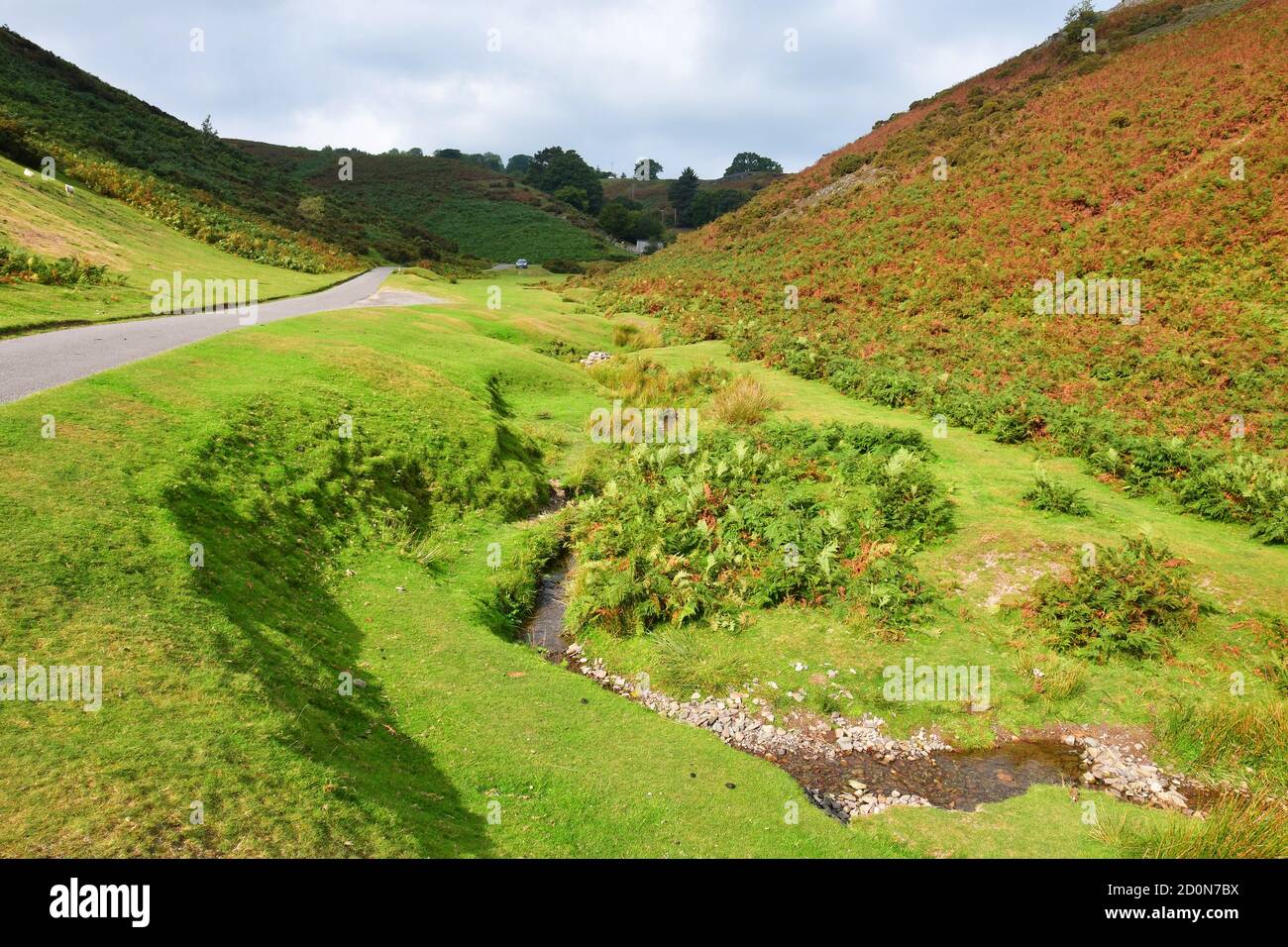 View of Inwood Valley, near Church Stretton, Shropshire, UK Stock Photo Alamy