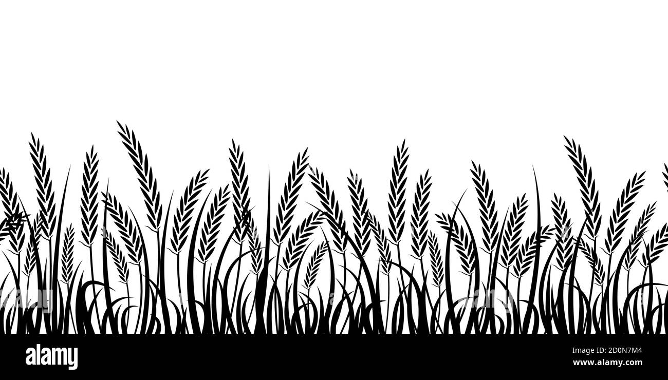 Vector silhouette of wheat. Silhouette. Wheat in the field on a white  background Stock Vector Image & Art - Alamy