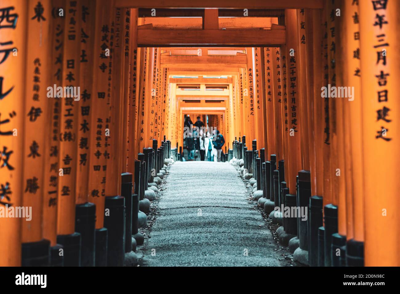 Thousands of vermilion torii gates, which straddle a network of trails behind its main buildings. Stock Photo