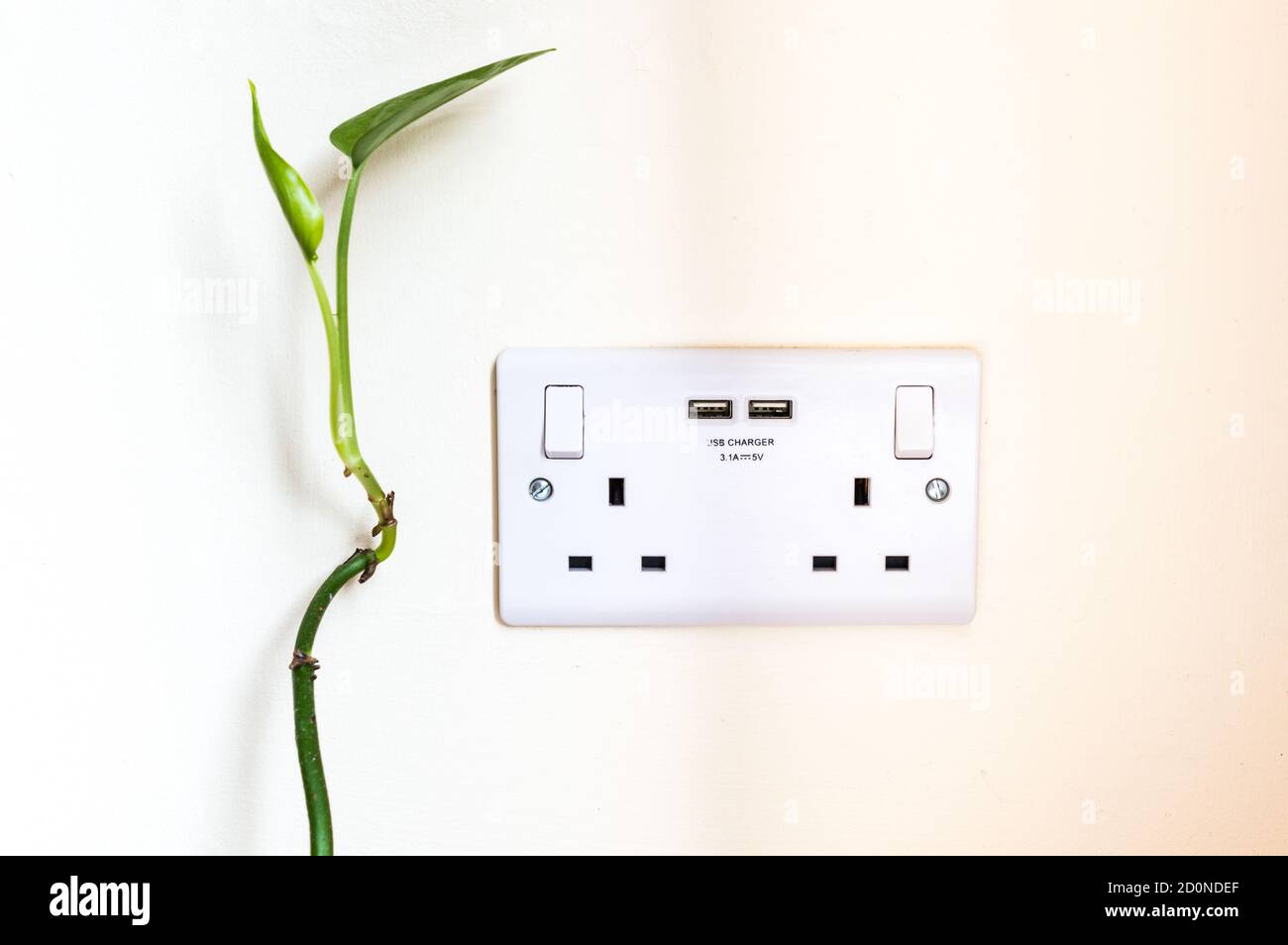 UK gang plug socket with USB outlets Stock Photo Alamy
