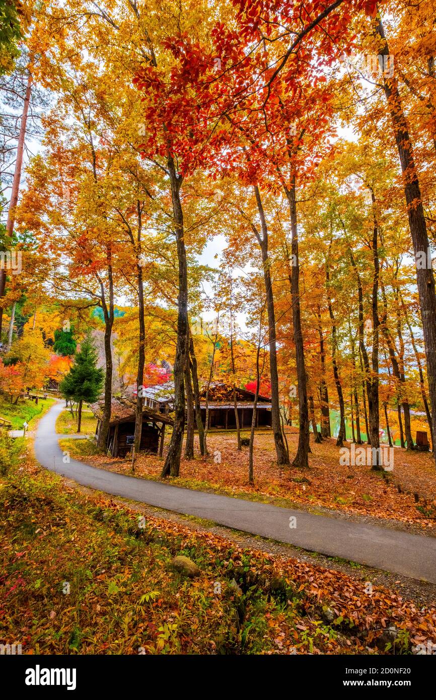 Hida Folk Village during autumn Stock Photo