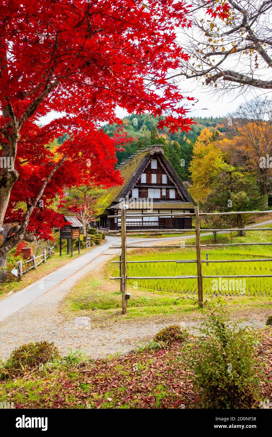 Hida Folk Village during autumn Stock Photo