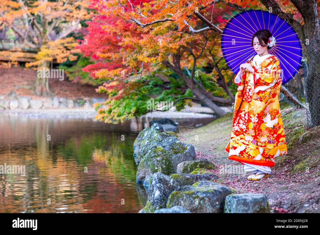 A beautiful young Japanese girl dressed in a colourful kimono in Nara park. Stock Photo