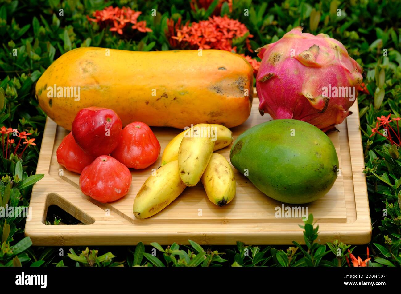 Indonesia Batam Indonesian tropical fruits Papaya Plum Mango
