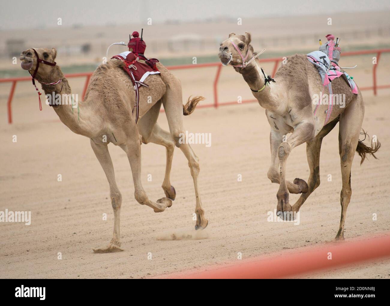 Mashkour hi res stock photography and images alamy