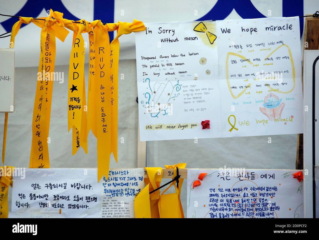 Yellow ribbons and messages dedicated to the missing and dead passengers onboard the capsized Sewol ferry, are hung at a port where many family members wait for news from the search and rescue team in Jindo April 24, 2014. The Sewol sank on April 16 on a routine trip from the port of Incheon, near Seoul, to the southern holiday island of Jeju. Investigations are focused on human error or a mechanical fault, with media saying the ship was three times overloaded, with cargo poorly stowed and inadequate ballast water.  REUTERS/Kim Kyung-Hoon (SOUTH KOREA - Tags: DISASTER MARITIME) Stock Photo