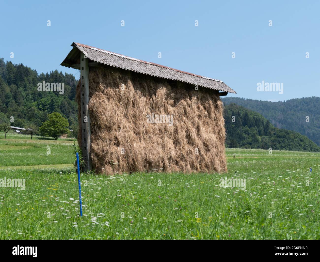 Traditional Slovenian hay rack, construction for drying grass on old wooden scaffolding near Bled, Slovenia in the summer time Stock Photo