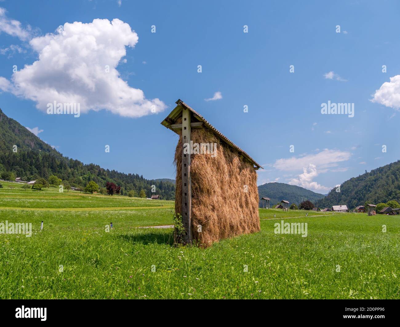 Traditional Slovenian hay rack, construction for drying grass on old wooden scaffolding near Bled, Slovenia in the summer time Stock Photo