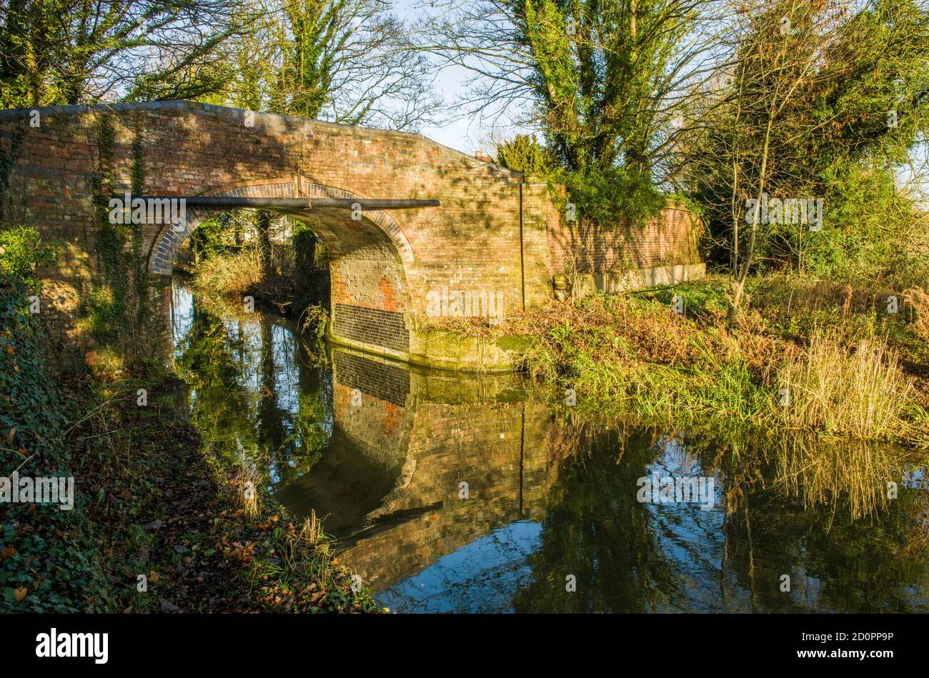 Tyhe Stonehouse and Gloucester canal showing the canal and a brick bridge over it near Stonehouse Stock Photo