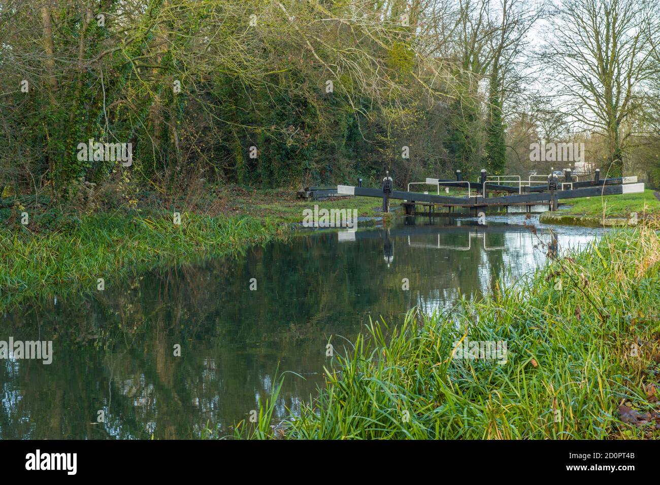 The Stroud and Stonehouse Canal near Stonehouse in Gloucestershire, England, UK photographed in November, Winter. Stock Photo