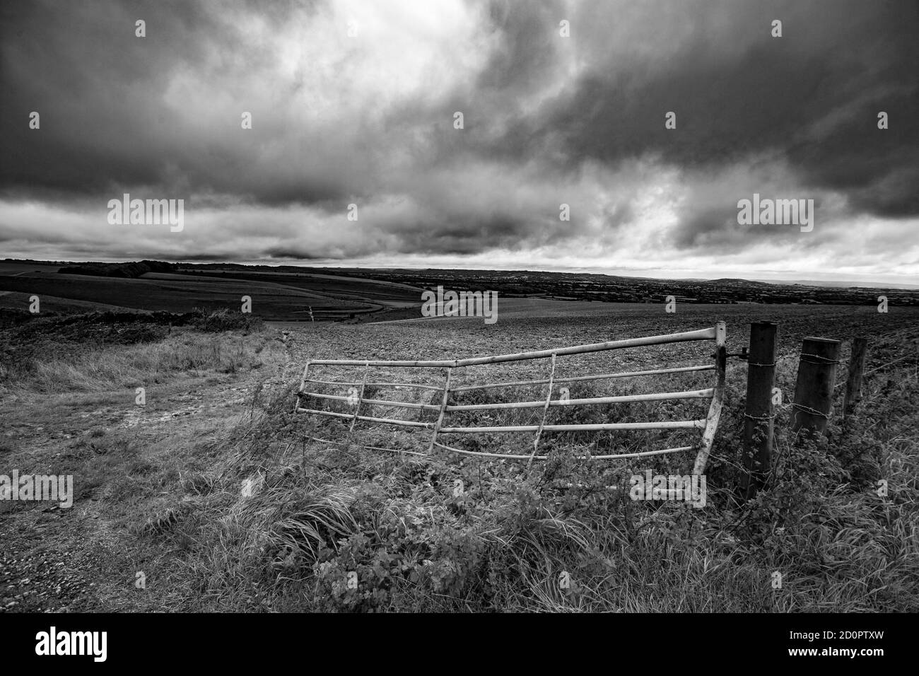 A farm gate at the side of a road on hills above the Wiltshire town of Mere on a wet and windy day as Storm Alex arrives. Wiltshire England UK GB Stock Photo