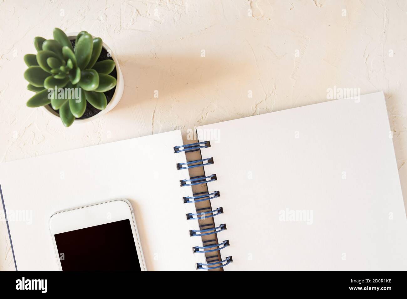 Top view of workspace. open notepad, white smartphone, pen and succulent in a pot on white concrete background. Freelance and blogging concept Stock Photo