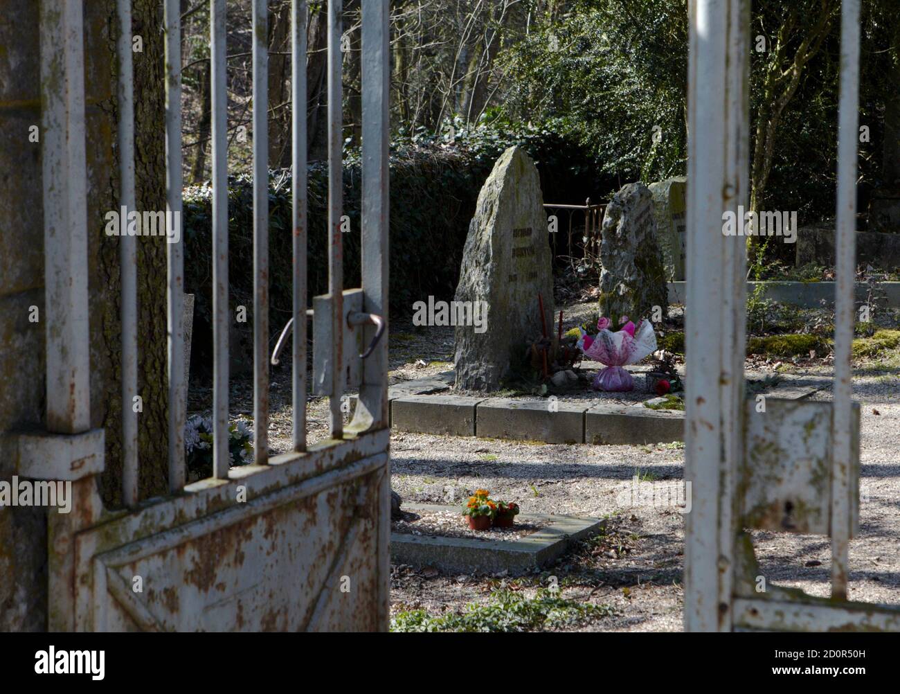 The grave of the late actor Richard Burton is pictured in the old cemetery  in Celigny, 20 km (12 miles) east of Geneva March 24, 2011. Actress  Elizabeth Taylor, who died on