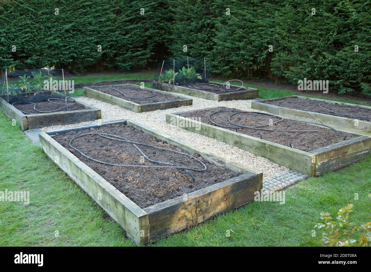 Raised beds growing vegetables hires stock photography and images Alamy
