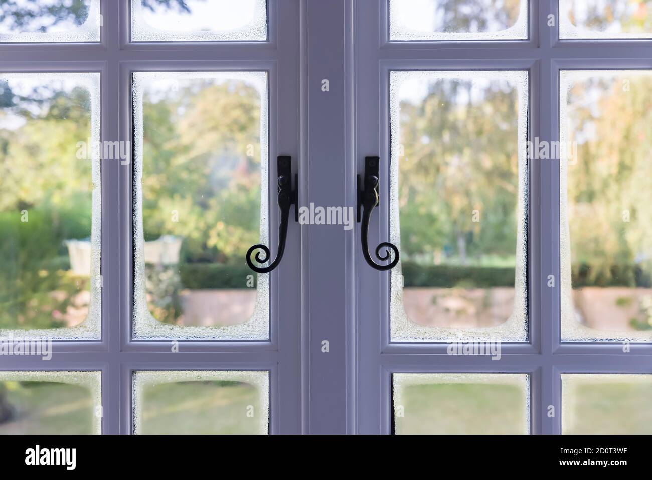 Condensation on double glazed wooden windows due to cold bridging, UK Stock Photo