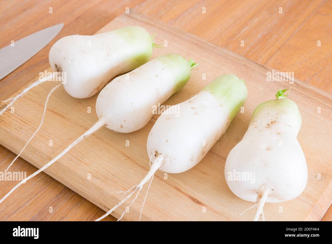 Raw mooli radish (daikon) roots on a chopping board and kitchen table. Organic homegrown vegetables in UK Stock Photo