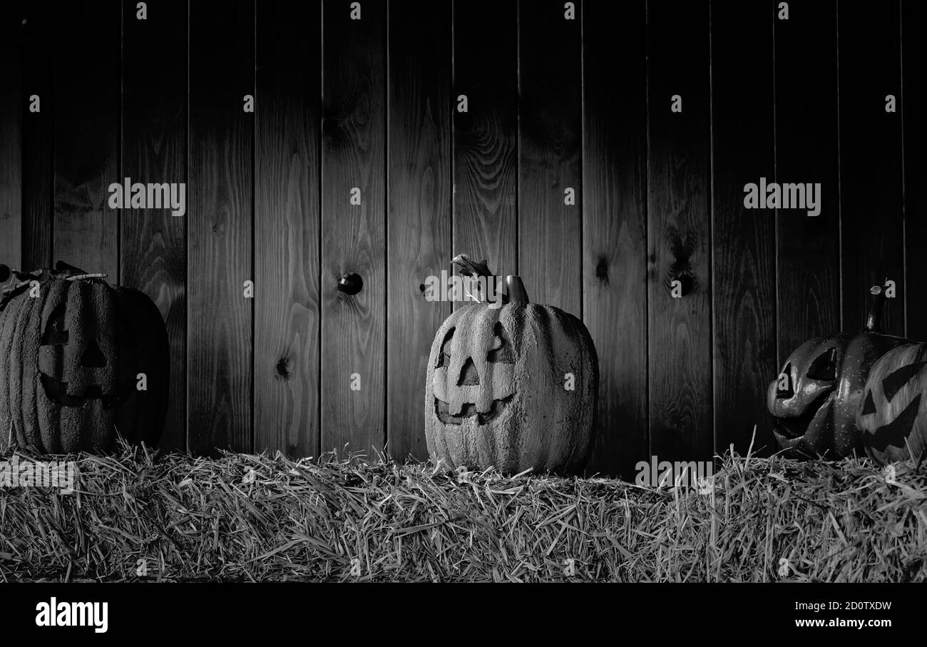 Decorating halloween pumpkins with candles, party and celebration Stock Photo