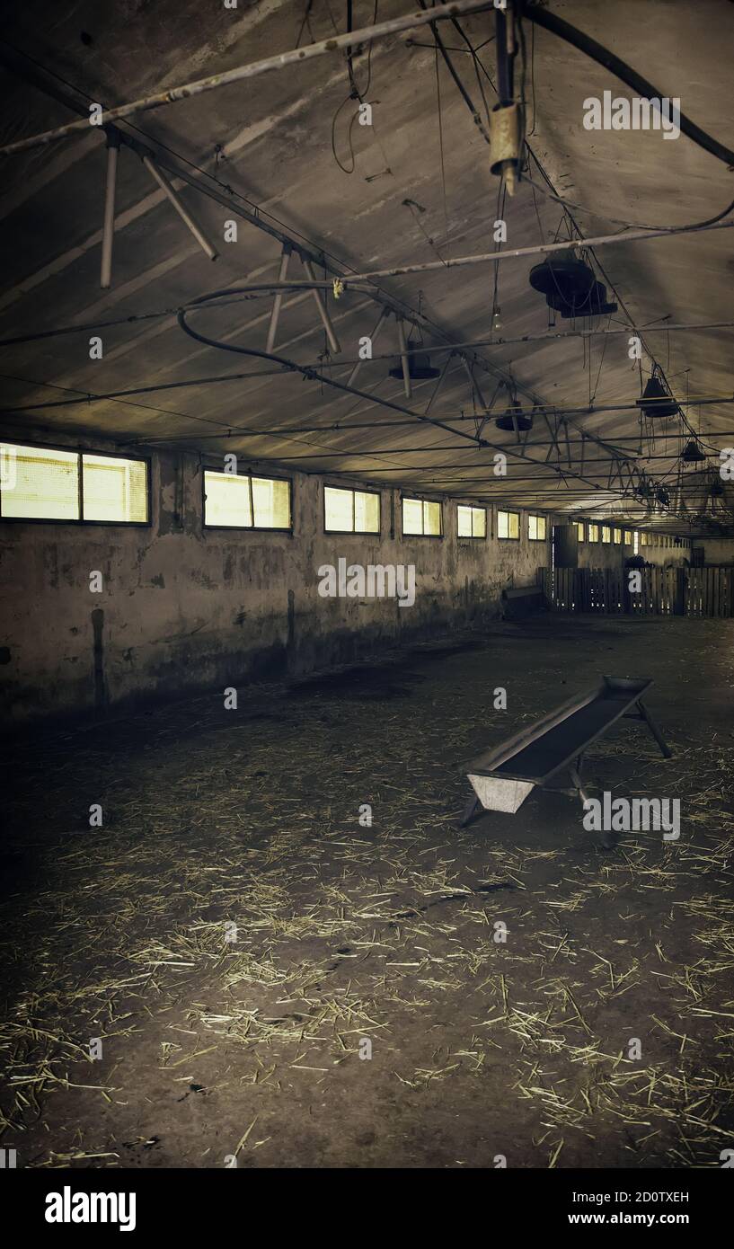 Empty farm interior, construction and architecture, animals Stock Photo