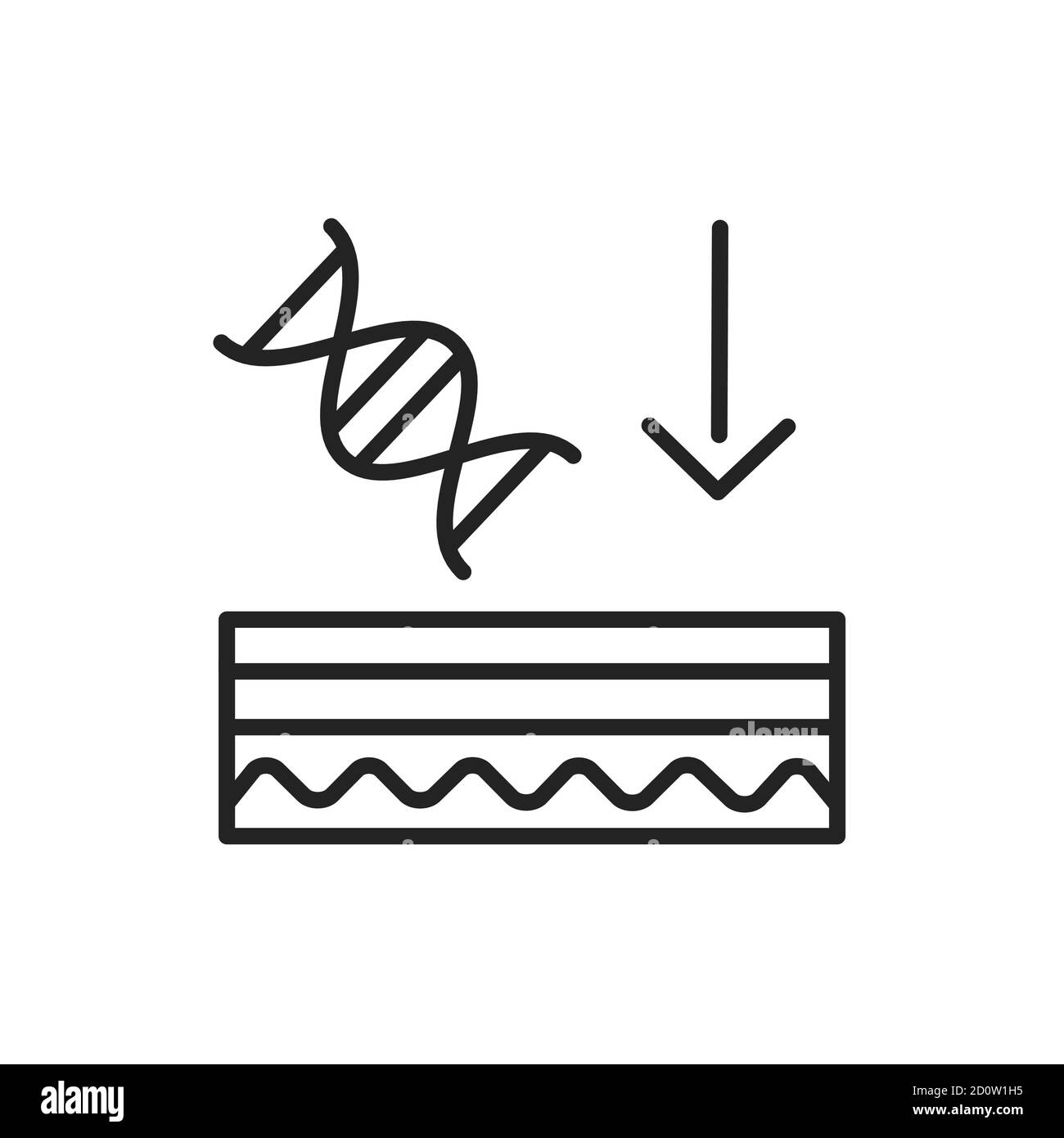 Skin genetics black line icon. Skin layer.  Stock Vector