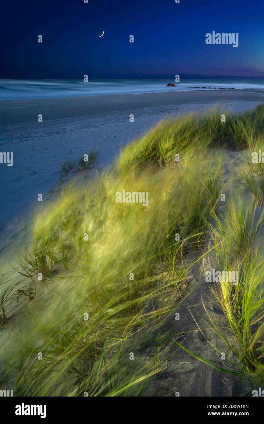 Wind blowing sand dune grass at beach with moon, Narragansett, Rhode Island USA Stock Photo