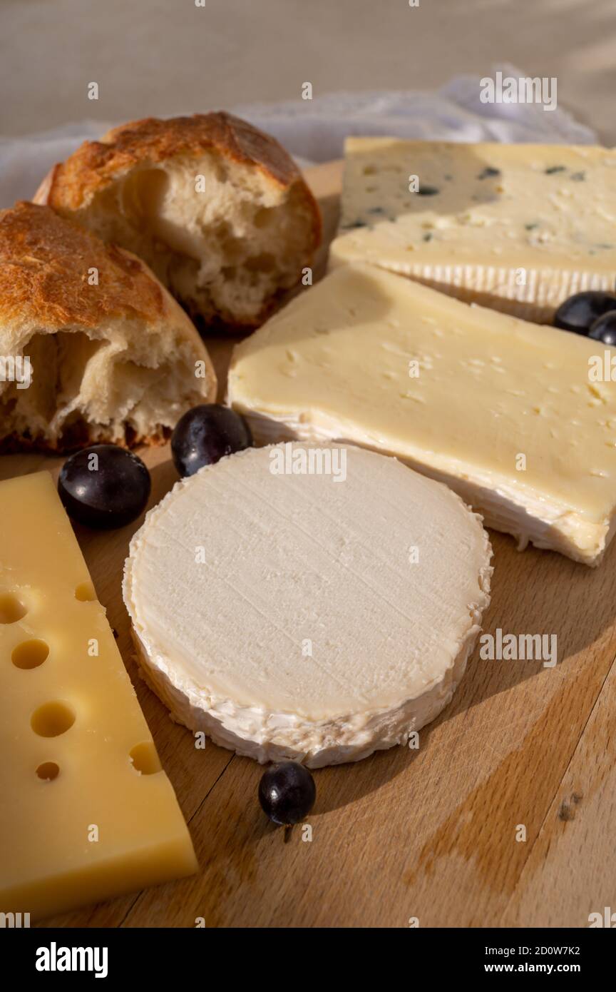 French cheese collection on marble board, emmental, carre de aurillac, petit cantal AOP Jeune, buche chevre and brie Stock Photo