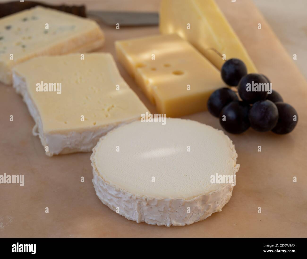 French cheese collection on marble board, emmental, carre de aurillac, petit cantal AOP Jeune, buche chevre and brie Stock Photo