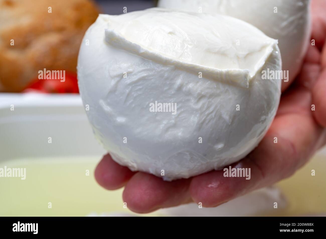 Cheese maker holding in hand fresh soft Italian cheese from Campania