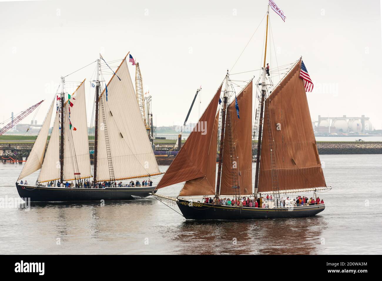 Boston, Massachusetts. 13th June, 2017. Parade of Sail at Sail Boston