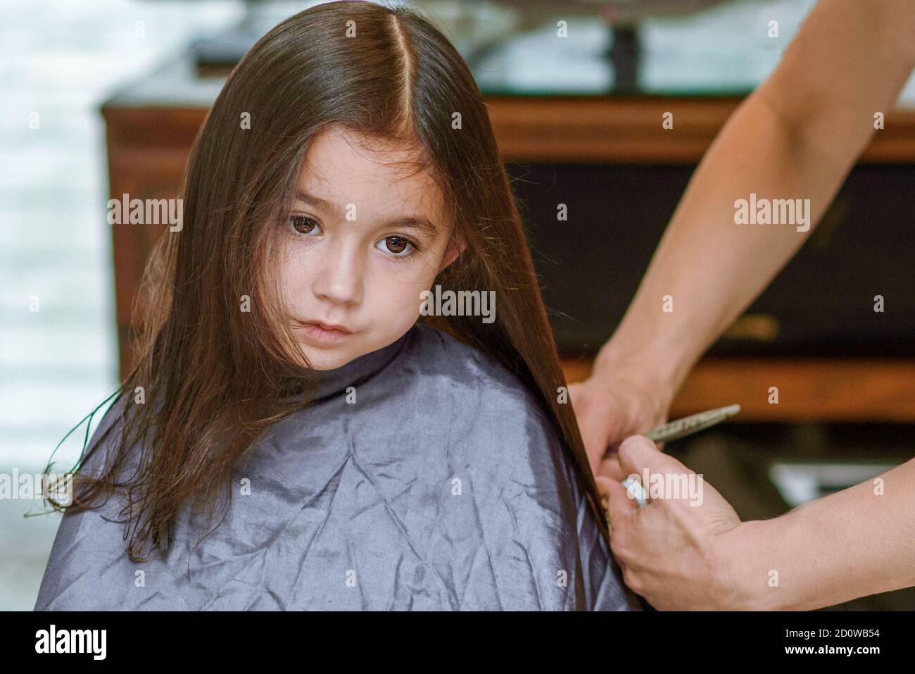 Portrait of a young girl getting her hair cut in beauty hair salon