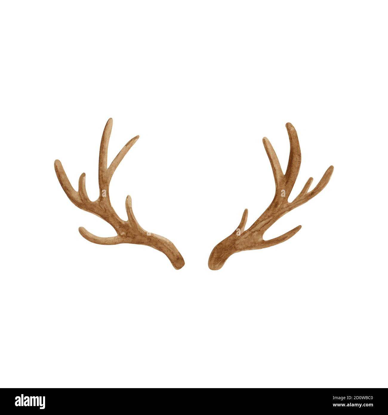 Cervid horns deer stag Cut Out Stock Images \u0026 Pictures - Alamy, image size:1300x1390