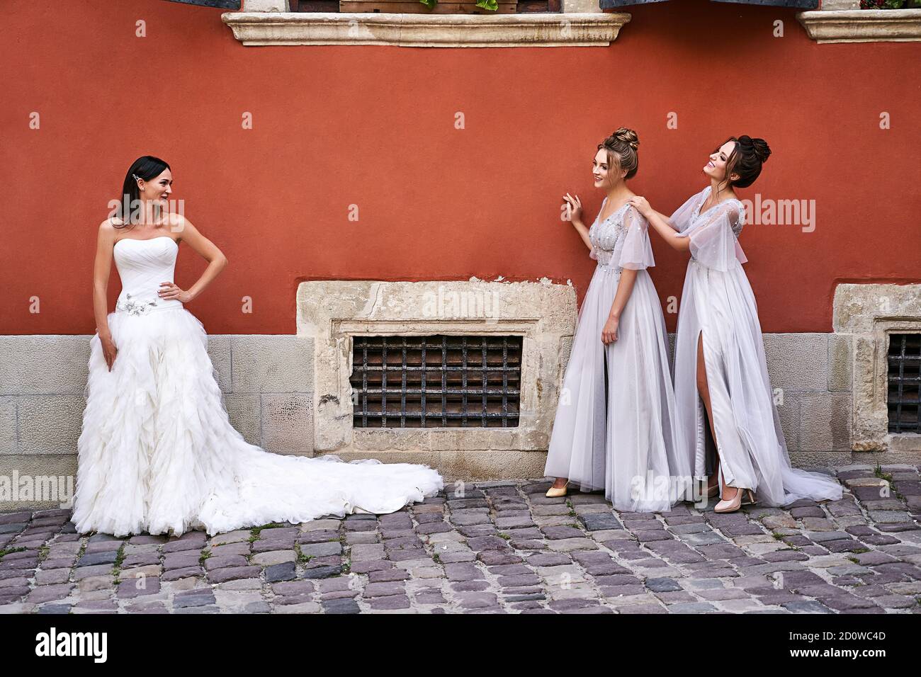Beautiful bride and bridesmaids in gorgeous elegant stylish light grey ...