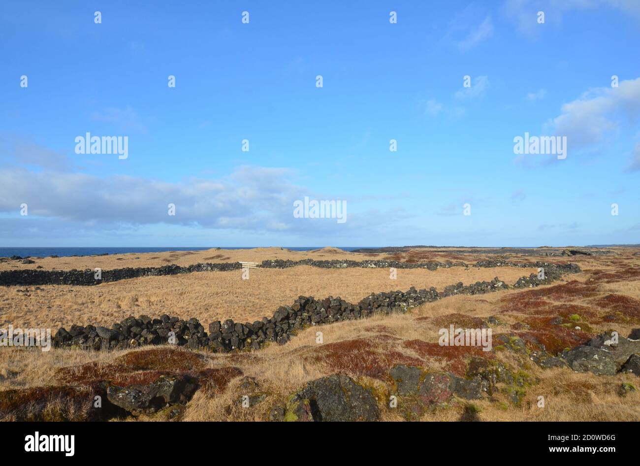 Rural landscape with grasslands along the coast Stock Photo - Alamy