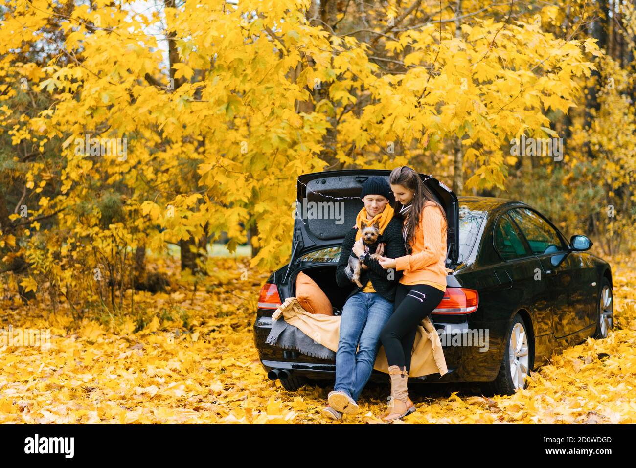 A young couple in love is sitting on the open trunk of a black car with their little dog in the autumn forest. Lovers look at their pet Stock Photo