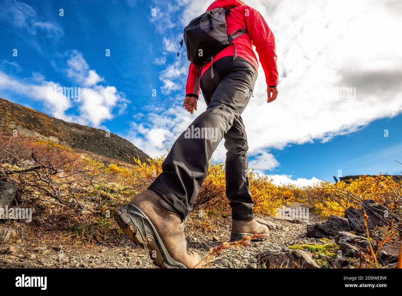 Girl Hiking in Canadian Nature Stock Photo Alamy