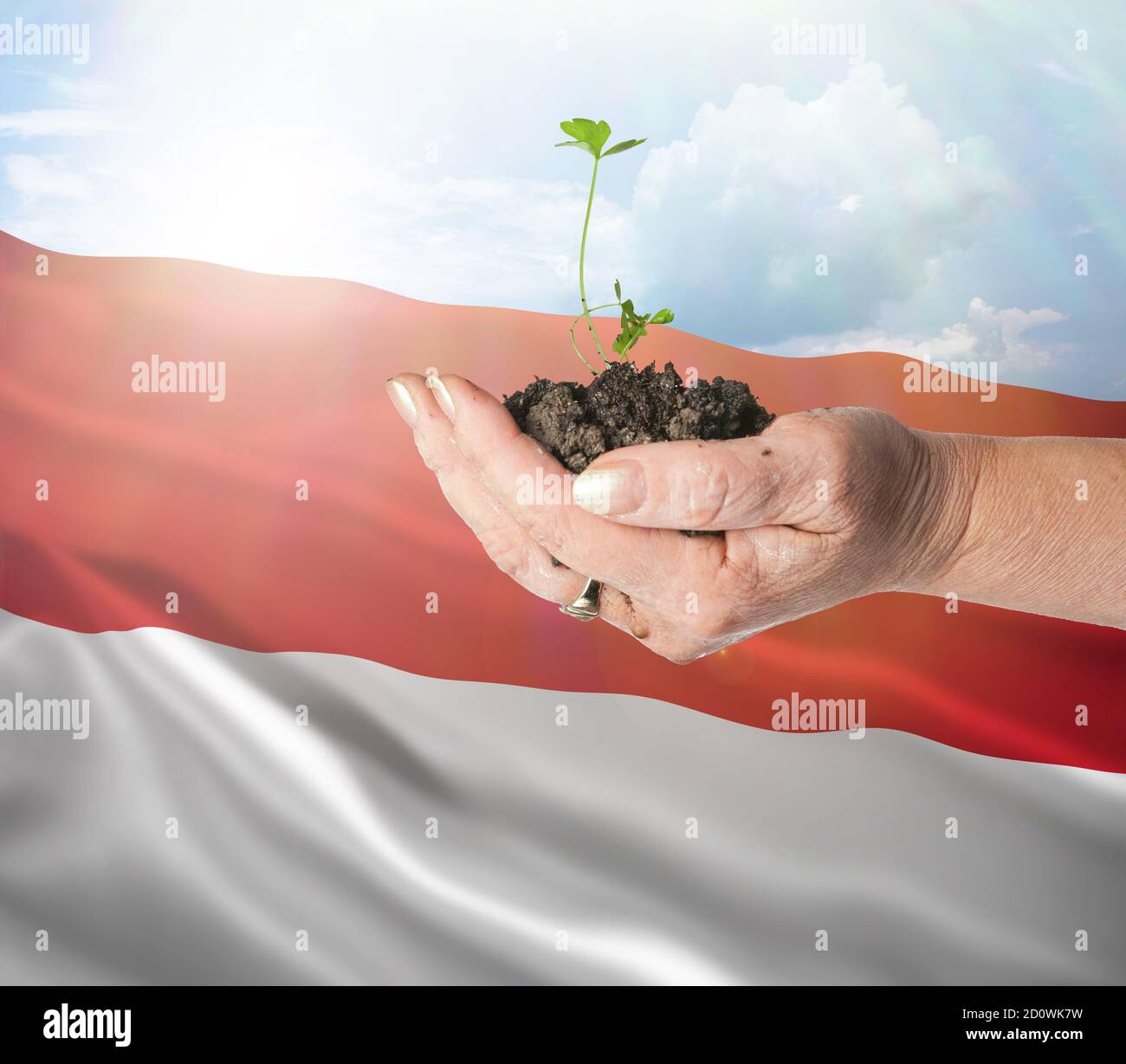 Monaco growth and new beginning. Green renewable energy and ecology concept. Hand holding young plant. Stock Photo