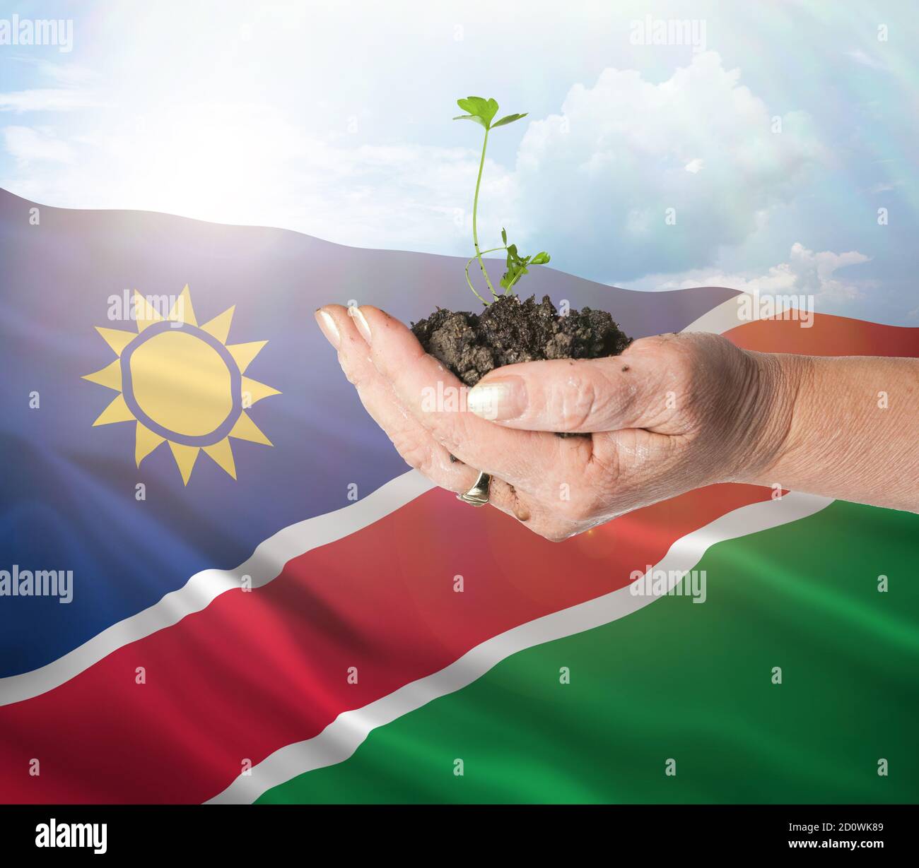 Namibia growth and new beginning. Green renewable energy and ecology concept. Hand holding young plant. Stock Photo