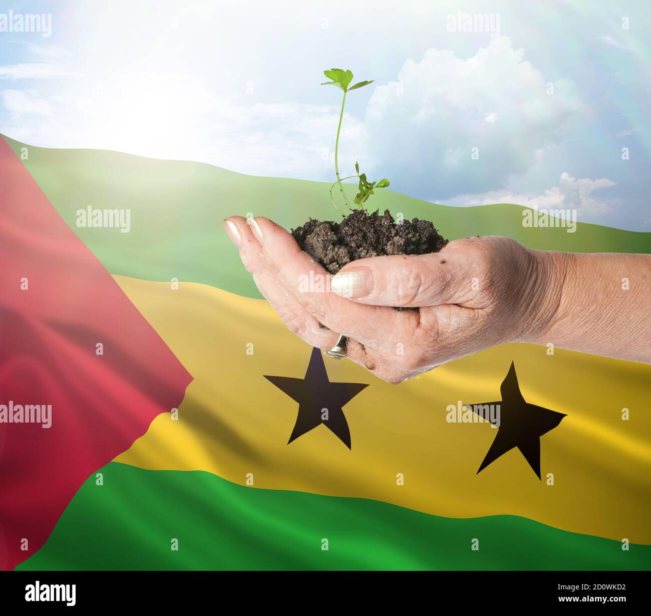 Sao Tome and Principe growth and new beginning. Green renewable energy and ecology concept. Hand holding young plant. Stock Photo