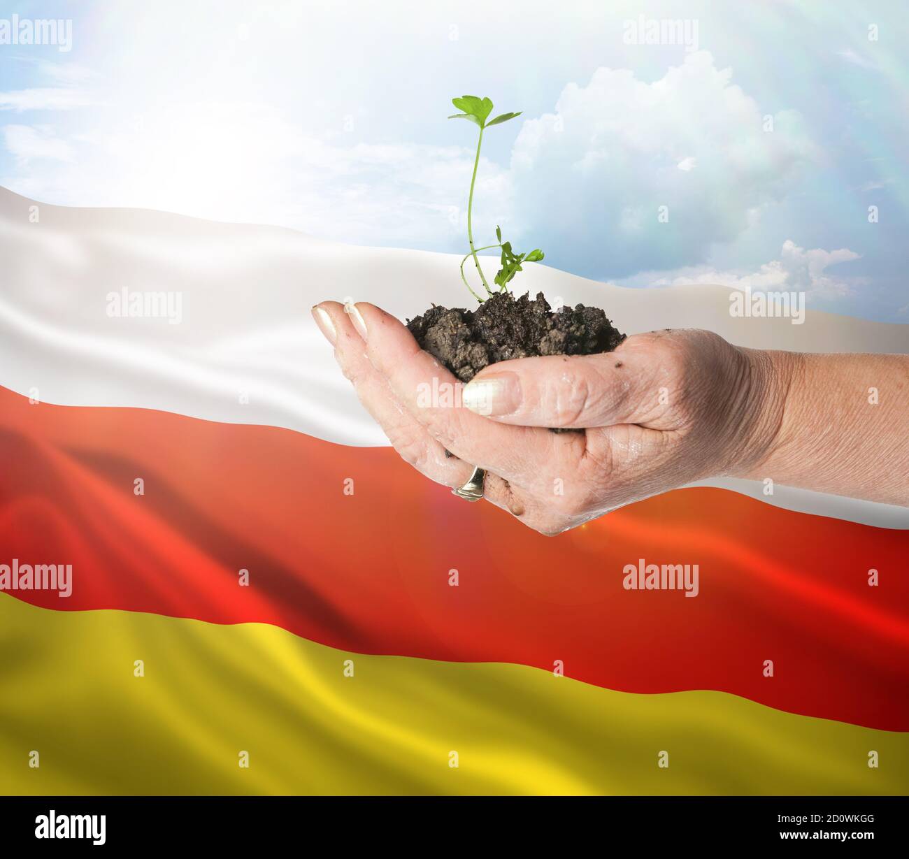 South Ossetia growth and new beginning. Green renewable energy and ecology concept. Hand holding young plant. Stock Photo