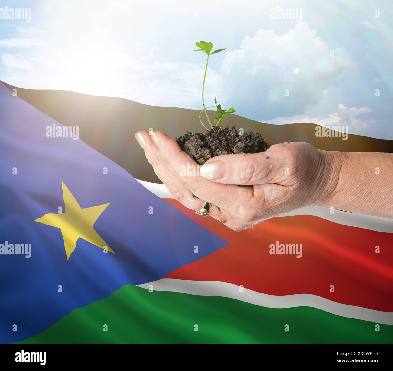 South Sudan growth and new beginning. Green renewable energy and ecology concept. Hand holding young plant. Stock Photo