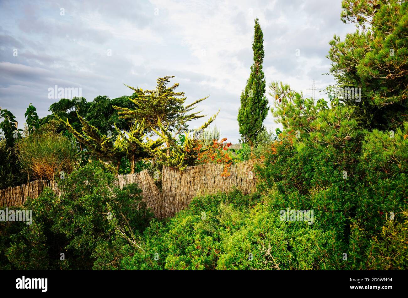 Aged fence in a garden Stock Photo - Alamy