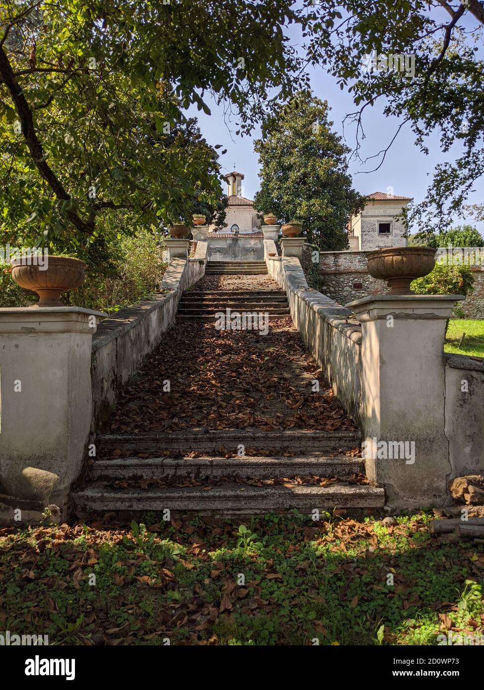 Vertical low angle shot of a staircase going up covered in dried leaves ...