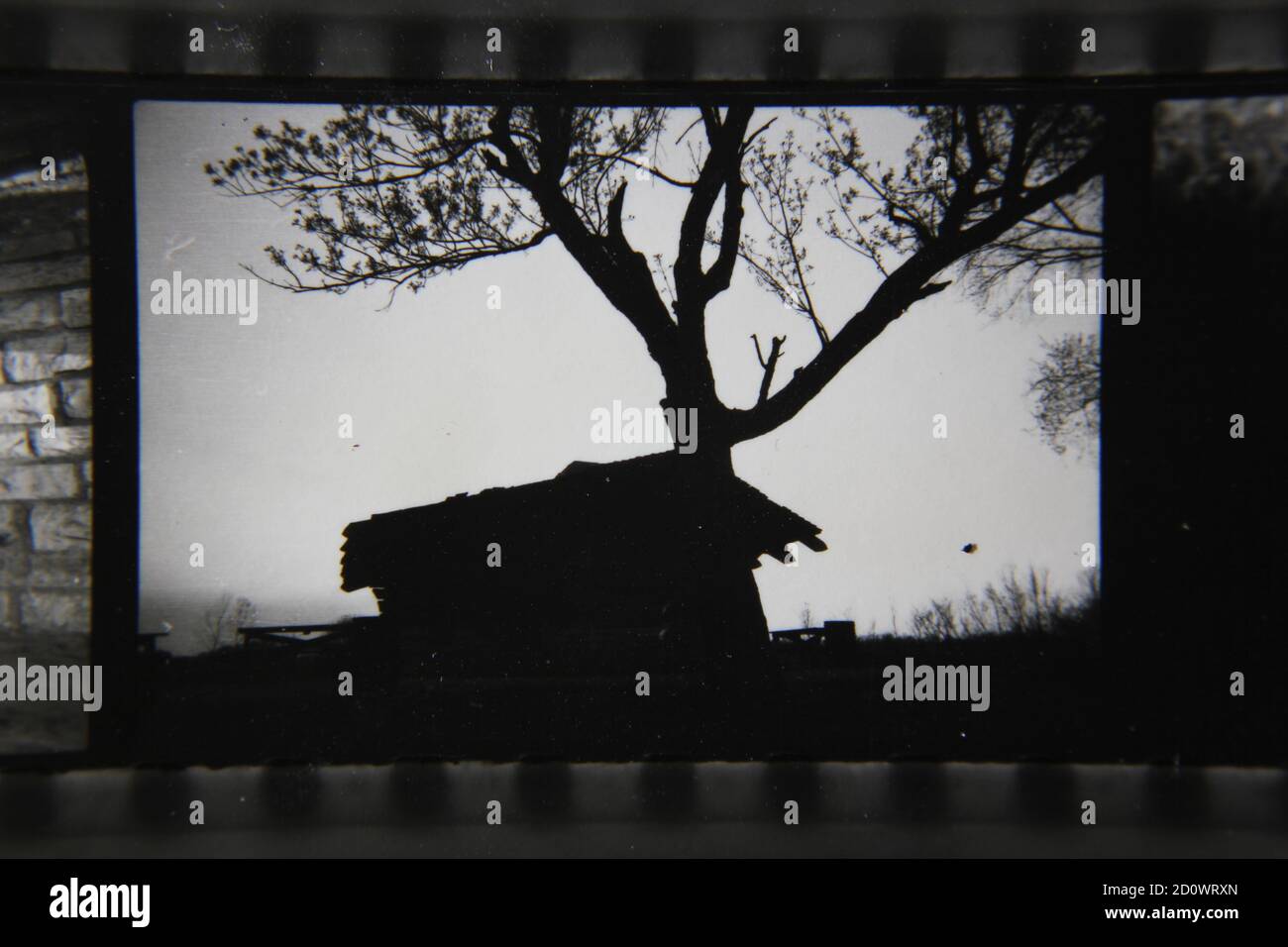 Fine 1970s vintage black and white photography of a rustic cabin in the ...