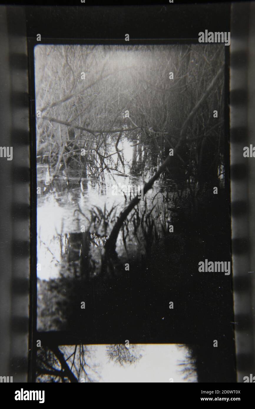 Fine 1970s vintage black and white photography of back to nature in the ...