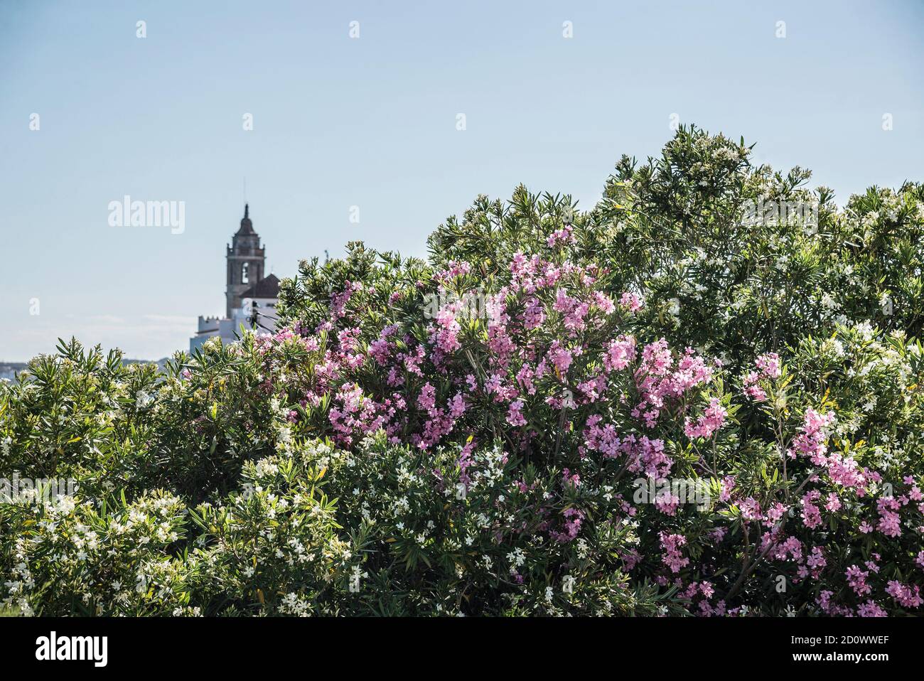 Summer time in Sitges, Spain Stock Photo