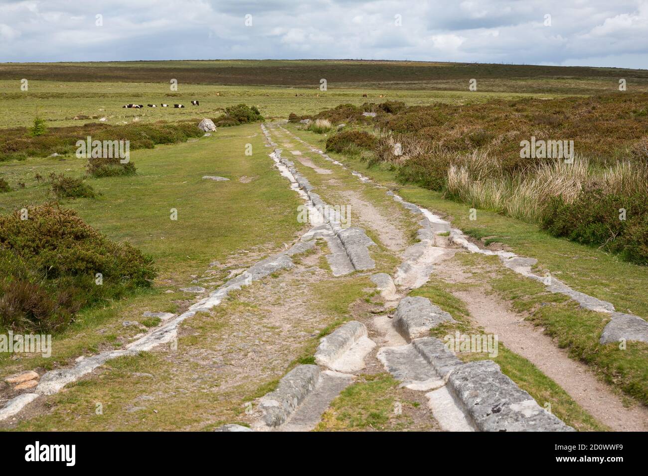 Haytor Granite Tramway junction formerly used to guide the wheels of horse-drawn wagons in Dartmoor, Devon UK Stock Photo